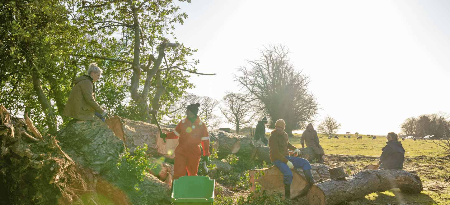 A group of people are shown working on woodlands. Picture: SolStock, iStock