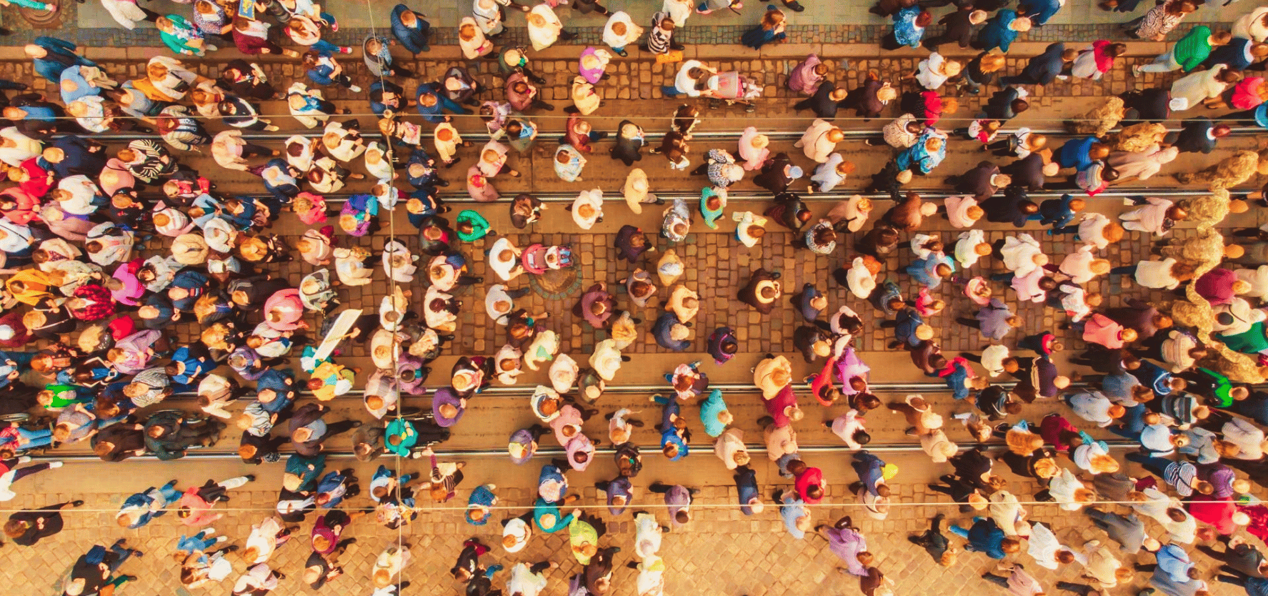 The view from a drone of trees starting to show their autumn colours on a bright calm day in Dumfries and Galloway south west Scotland. Picture: iStock