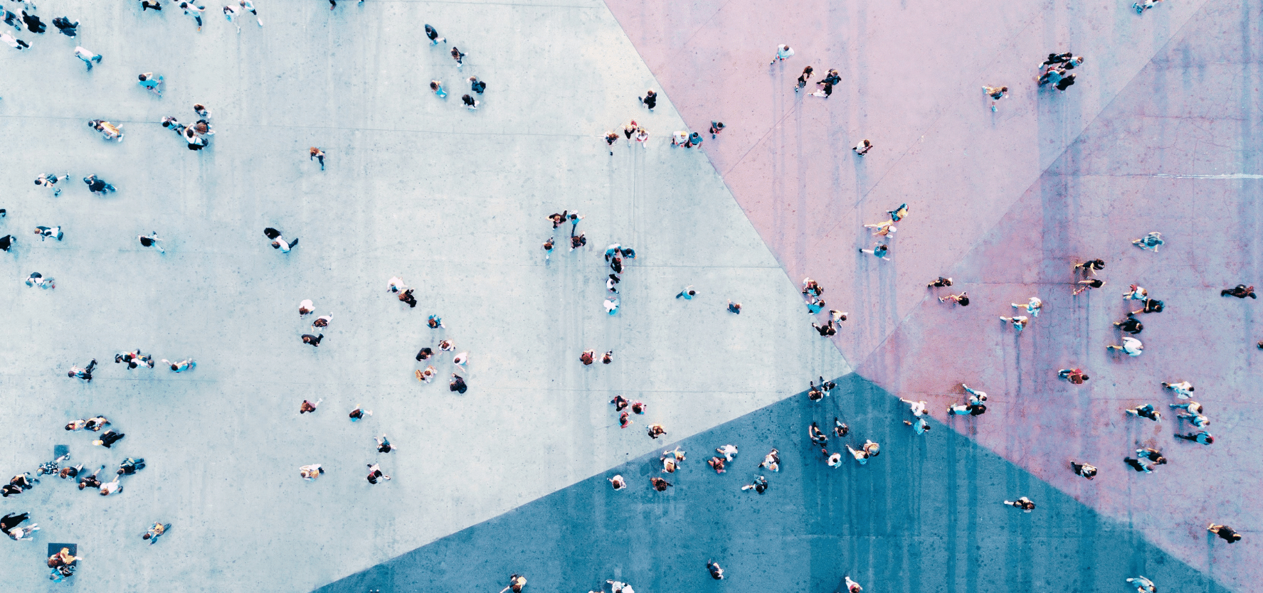 The view from a drone of trees starting to show their autumn colours on a bright calm day in Dumfries and Galloway south west Scotland. Picture: iStock